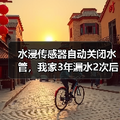 水浸传感器自动关闭水管,我家3年漏水2次后的真实改造(图2) 水浸传感器自动关闭水管,我家3年漏水2次后的真实改造(图2)