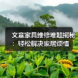 家具维修常见问题及实用解决方法(图4)