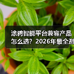 涂鸦智能平台兼容产品怎么选?2026年最全避坑指南(附实测数据)(图4) 涂鸦智能平台兼容产品怎么选?2026年最全避坑指南(附实测数据)(图4)
