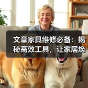 家具维修必备工具大全：实用技巧与选购指南(图1)